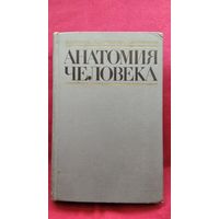 М.Г. Привес и др. Анатомия человека