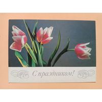 Открытка Савалова 1985 чистая