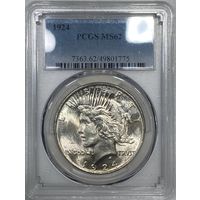 1 доллар мирный 1924 ms 62 PCGS