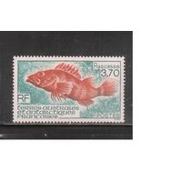 Французские Антарктические Территории-1994(Мих.318) , ** , Морская Фауна,Рыбы