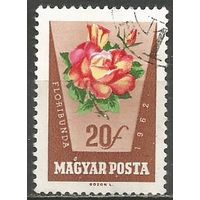 Венгрия. Цветы. Розы. 1962г. Mi#1856.