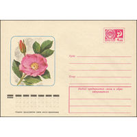 Художественный маркированный конверт СССР N 10796 (09.09.1975) Шиповник