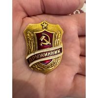 Дружинник