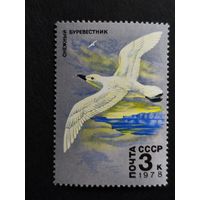 1978 СССР. Арктическая Фауна. Снежный буревестник