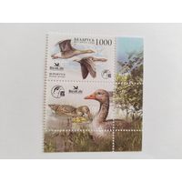 Беларусь 2009    м+к  птица года
