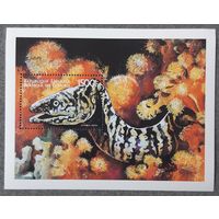 1999 Волнистая мурена Федеральная Исламская Республика Коморские острова