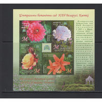 Флора цветы Беларусь 2014 Центральный ботанический сад