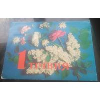 1978 год А.Радченко 1 травня