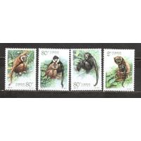 ФФ1 Китай 2002 Обезьяны