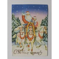 Дмитриева Беларусь 2000-х с новым годом снегурочка