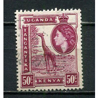 Британские колонии - Кения, Уганда, Танганьика - 1954/1959 - Елизавета II и жираф 50С - [Mi.98] - 1 марка. Гашеная.  (Лот 23HV)-TG3P21