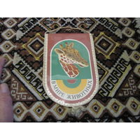 Вымпел В мире животных с рубля!