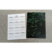 Календарик карманный 2025 пруд