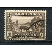 Малайские штаты - Селангор - 1961/1962 - Султан Салахуддин Абдул Азиз Шах и рисовое поле 4С - [Mi.92] - 1 марка. Гашеная.  (Лот 44Hi)-T41P16