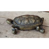 Черепашка бронзовая