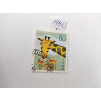 Япония  1994 жираф