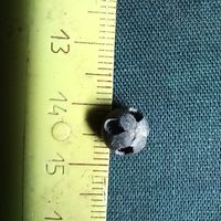 Пуговичка старая?