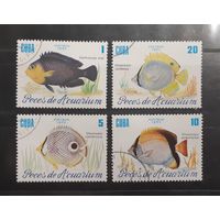 Куба. 1985 год. Фауна. Рыбы (23)
