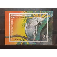 Экваториальная Гвинея. Фауна. Птицы. попугай. Блок беззубцовка (440)