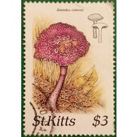 Остров Сент-Китс 1987. Грибы. Болеттелис Кубинский