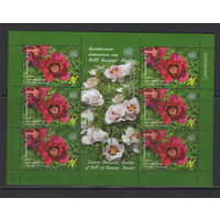 Флора кусты Беларусь 2015 Малый лист "Центральный ботанический сад."Пион древовидный"