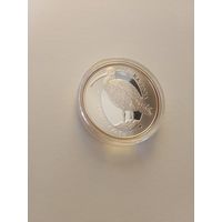 Кроншнеп кулён