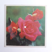 Гибкая пластинка с песней "Горько" Исп. ВИА "Синяя птица". Студия звукозаписи Киев.