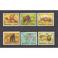 Манама. 1969. Фауна. Животный мир. Беззубцовка