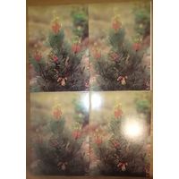 Открытки новогодние, чистые, двойные. Цена за одну