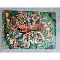 Этнография. Испания. Национальное блюдо "Язва амброзии"