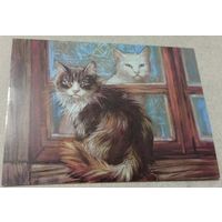 Посткроссинг. Открытка Котики,  (10х15). Прошла почту. Художественные марки, чёткий штемпель.