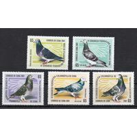 Куба 2001. Фауна. Голуби. 5 марок (4392)