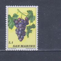 [2209] Сан-Марино 1973. Флора.Плоды.Ягоды.Фрукты.Виноград на почтовых марках. MNH