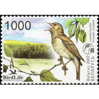 Птица года. Восточный соловей Беларусь 2007 год (688) серия из 1 марки