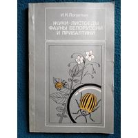 И.К. Лопатин. Жуки-листоеды фауны Белоруссии и Прибалтики