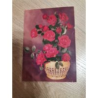 Открытка СССР 1990 фото. Круцко