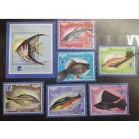 Камбоджа. 1988 год. Фауна. Рыбы. Блок и 6 марок (25)