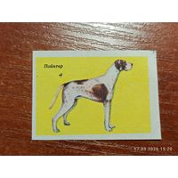 Спичечная этикетка Пойнтер