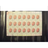 Беларусь лист 20 рублевой марки с заказом 43-2011 флора MNH **