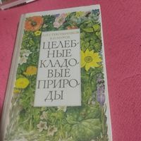 Л.И.Стекрльников.В.И.Мурох.   Целебные кладовые природы.