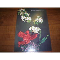 Цветы Композиция Всего наилучшего Польша чистая