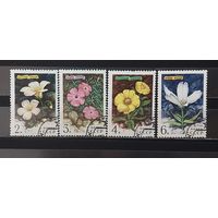 РАСПРОДАЖА. СССР 1977г. Гаш.