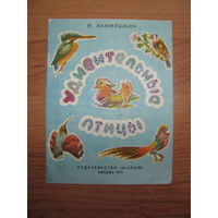 Раскраска "Удивительные птицы", 1975. Художник Е.А. Иванов.