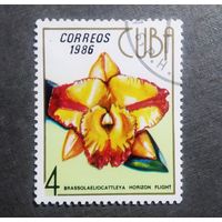Марка Куба 1986 год Цветы