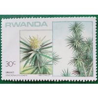Руанда 1983. Флора. Dracaena Steudneri