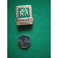 Значек турнир  по вольной борьбе на приз Королева Н.Ф. г.Могилев