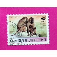 Гвинея. Фауна. ( 1 марка ) 2000 года. 6-10.