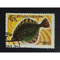 1983 СССР. Рыбы. Звездчатая камбала