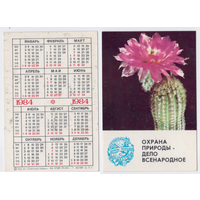 Календарь Охрана природы кактус 1984
