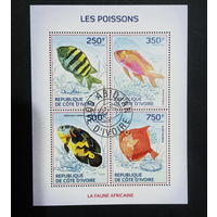 ФАУНА РЫБЫ МОРСКИЕ ОБИТАТЕЛИ    БЛОК  сто